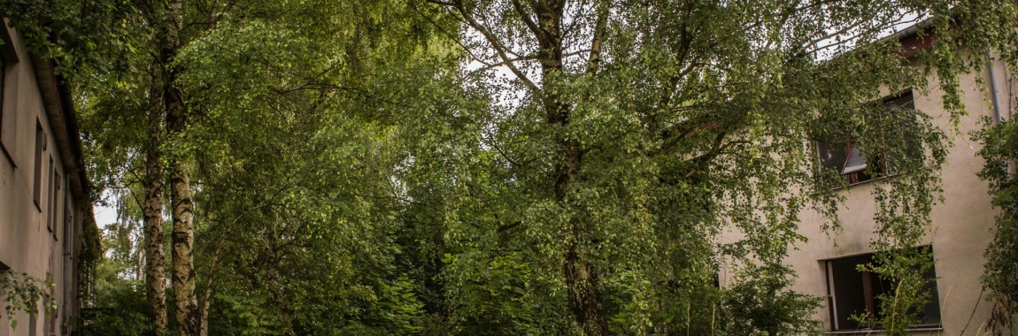 Paintball gallery photo image Hlavni1-65c1611ed9109.jpg